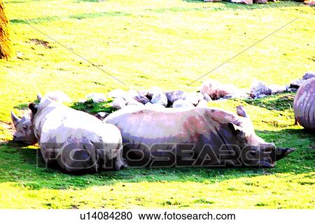 Clipart - resting rhinocerous. Fotosearch
