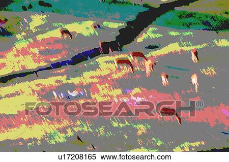 Stock Illustration - resting rhinocerous. Fotosearch