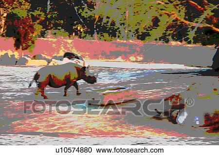 rhinocerous View Large Illustration Clipart - rhinocerous. Fotosearch