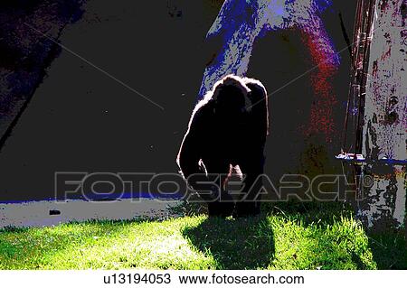 silhoutte of gorilla View Large Illustration Drawing - silhoutte of gorilla. Fotosearch