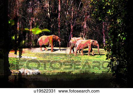 Clip Art - three elephants. Fotosearch