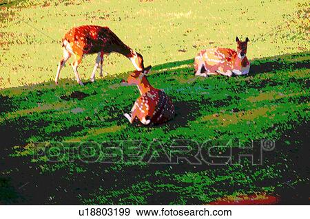 Stock Illustration - three resting deer. Fotosearch