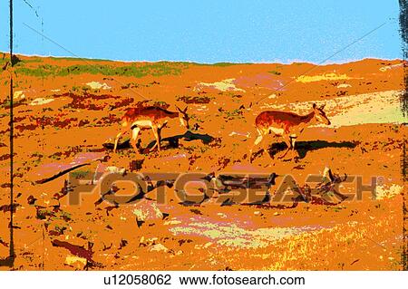 two deer View Large Illustration Drawing - two deer. Fotosearch