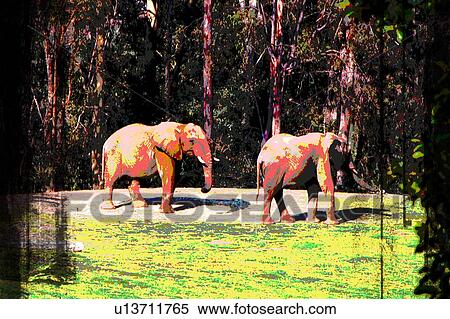 two elephants View Large Illustration Stock Illustration - two elephants. Fotosearch