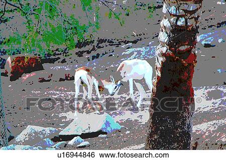 Stock Illustration - two gazelles. Fotosearch