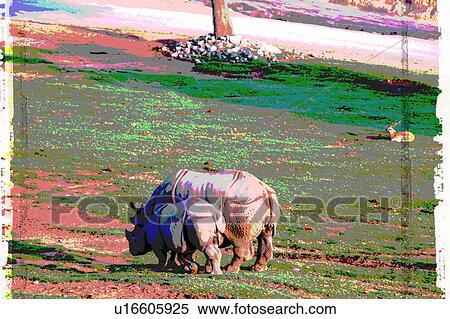 two rhinocerous resting View Large Illustration Stock Illustration - two rhinocerous resting. Fotosearch