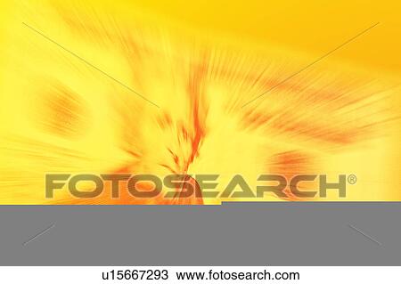 Drawing - stylized ten dollar bill. Fotosearch