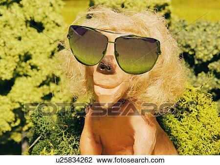 Drawing - Leo: lion with sunglasses. Fotosearch