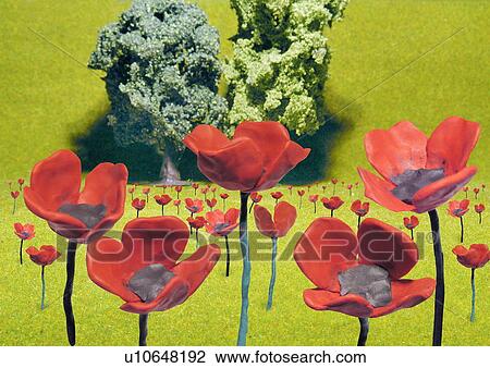 Poppies in a field View Large Illustration Drawing - Poppies in a field. Fotosearch