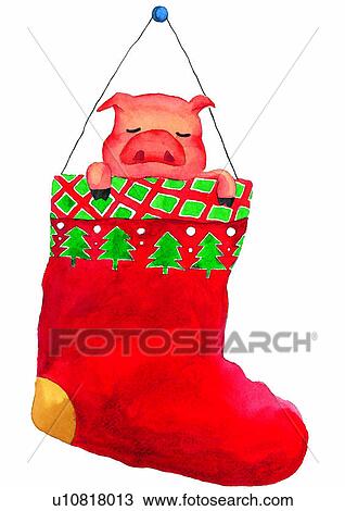 Drawing - pig, painting, sleeping, Christmas, watercolor. Fotosearch