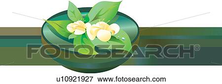 Stock Illustration - Leaf, Blossom, Fragility, Indoor, Panoramic, Close-Up. Fotosearch