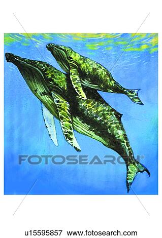Stock Illustration - benthos, animal, ocean, sea, fish, vertebrate, dolphin. Fotosearch