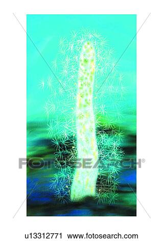 Clip Art - benthos, animal, ocean, sea, plankton. Fotosearch