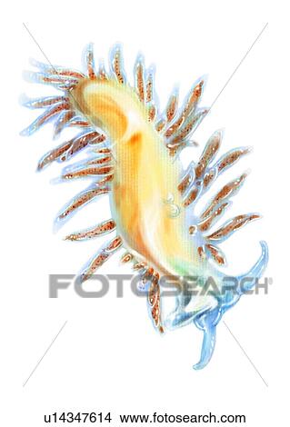 benthos, animal, ocean, sea, plankton View Large Illustration Stock Illustration - benthos, animal, ocean, sea, plankton. Fotosearch