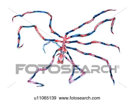 benthos, animal, ocean, sea View Large Illustration Stock Illustration - benthos, animal, ocean, sea. Fotosearch
