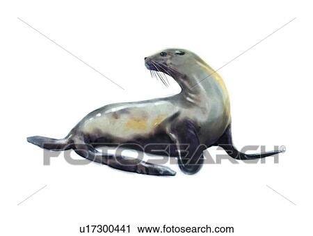 benthos, animal, sea, ocean, mammal, fur seal View Large Illustration Clip Art - benthos, animal, sea, ocean, mammal, fur seal. Fotosearch