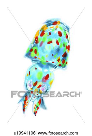 Stock Illustration - cuttle, sea, cuttlefish, ocean, benthos, animal, squid. Fotosearch