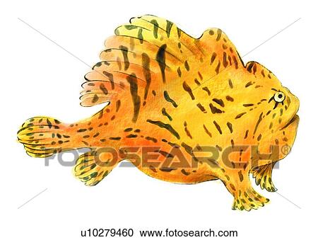 Clipart - fish, ocean, sea, vertebrate, benthos, animal. Fotosearch