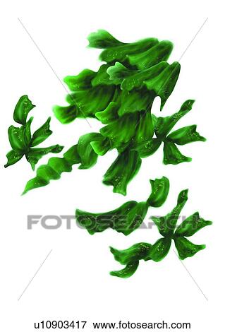 invertebrate, nullipore, benthos, animal, ocean, sea View Large Illustration Stock Illustration - invertebrate, nullipore, benthos, animal, ocean, sea. Fotosearch