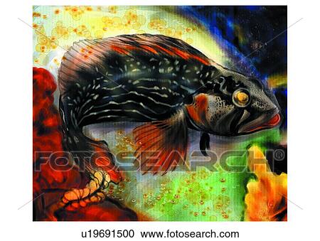 ocean, sea, benthos, animal View Large Illustration Clipart - ocean, sea, benthos, animal. Fotosearch