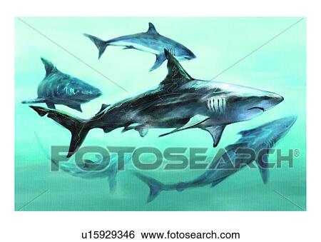Stock Illustration - ocean, shark, sea, animal, vertebrate, benthos, fish. Fotosearch