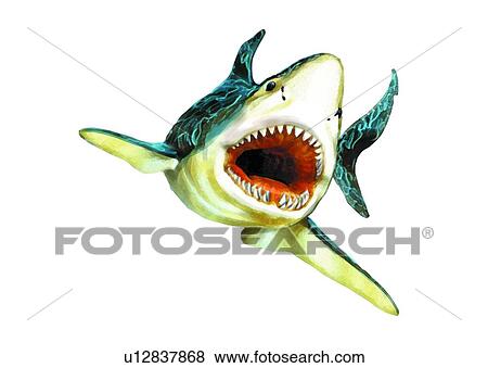 ocean, vertebrate, fish, shark, sea, benthos, animal View Large Illustration Stock Illustration - ocean, vertebrate, fish, shark, sea, benthos, animal. Fotosearch