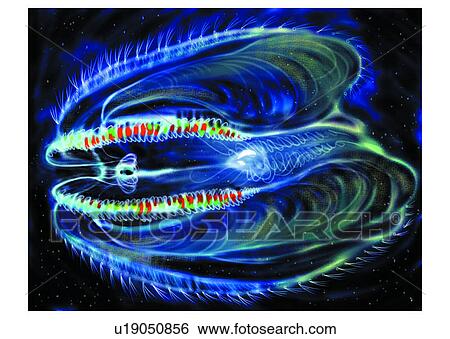 sea, animal, ocean, benthos, plankton View Large Illustration Stock Illustration - sea, animal, ocean, benthos, plankton. Fotosearch