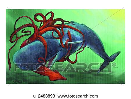 sea, fish, animal, sperm whale, cachalot, squid, vertebrate View Large Illustration Drawing - sea, fish, animal, sperm whale, cachalot, squid, vertebrate. Fotosearch