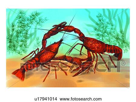 Stock Illustration - shrimp, ocean, benthos, crustaceam, sea, animal. Fotosearch