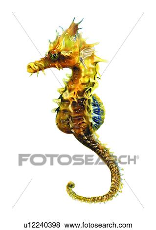 Stock Illustration - vertebrate, animal, sea horse, sea, ocean, benthos, hippocampns. Fotosearch