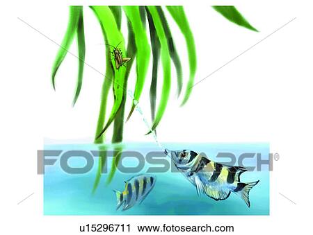 Clip Art - vertebrate, sea, benthos, fish, ocean, animal. Fotosearch