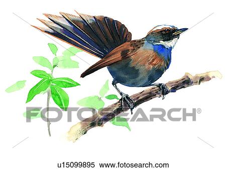 painting, bird, watercolor View Large Illustration Stock Illustration - painting, bird, watercolor. Fotosearch