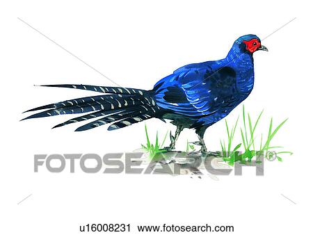 watercolor, painting, bird View Large Illustration Clip Art - watercolor, painting, bird. Fotosearch