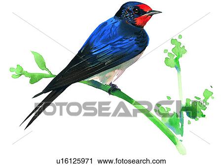 watercolor, painting, bird View Large Illustration Clip Art - watercolor, painting, bird. Fotosearch