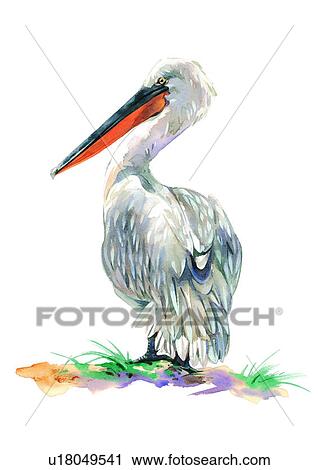 watercolor, painting, bird View Large Illustration Clip Art - watercolor, painting, bird. Fotosearch