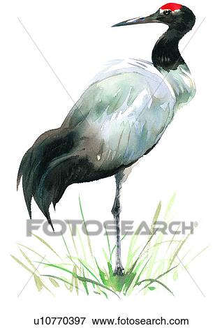 watercolor, painting, bird View Large Illustration Stock Illustration - watercolor, painting, bird. Fotosearch