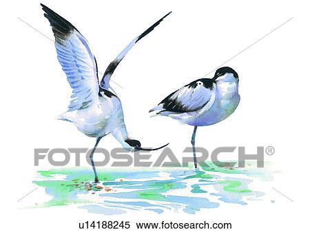 watercolor, painting, bird View Large Illustration Stock Illustration - watercolor, painting, bird. Fotosearch