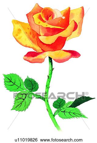 Stock Illustration - flower, plant, watercolor, yellow. Fotosearch