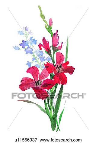 flower, watercolor, plant, red View Large Illustration Stock Illustration - flower, watercolor, plant, red. Fotosearch