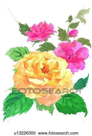 flower, watercolor, plant View Large Illustration Stock Illustration - flower, watercolor, plant. Fotosearch