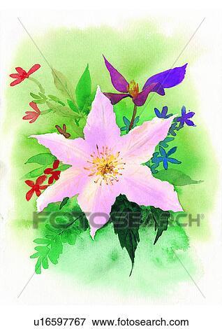 Stock Illustration - pink, flower, watercolor, plant. Fotosearch