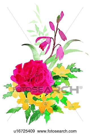 plant, flower, watercolor, red View Large Illustration Stock Illustration - plant, flower, watercolor, red. Fotosearch