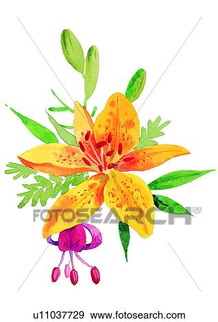 Stock Illustration - plant, flower, watercolor. Fotosearch