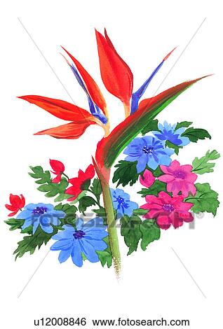 plant, flower, watercolor View Large Illustration Stock Illustration - plant, flower, watercolor. Fotosearch