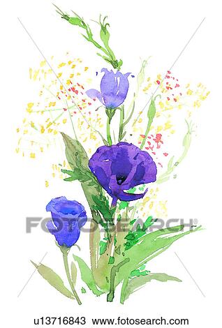 plant, watercolor, flower, purple View Large Illustration Drawing - plant, watercolor, flower, purple. Fotosearch
