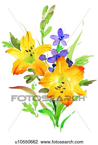 Drawing - plant, watercolor, yellow, flower. Fotosearch