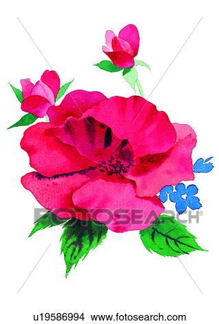 Stock Illustration - red, plant, flower, watercolor, rose. Fotosearch