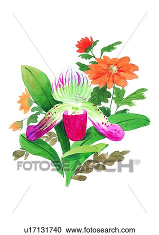 watercolor, flower, plant View Large Illustration Clipart - watercolor, flower, plant. Fotosearch