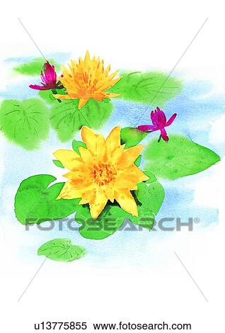 Stock Illustration - watercolor, flower, plant. Fotosearch