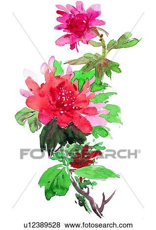 watercolor, flower, red, plant View Large Illustration Stock Illustration - watercolor, flower, red, plant. Fotosearch